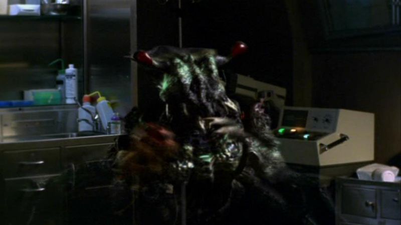 File:Show and Tell.jpg